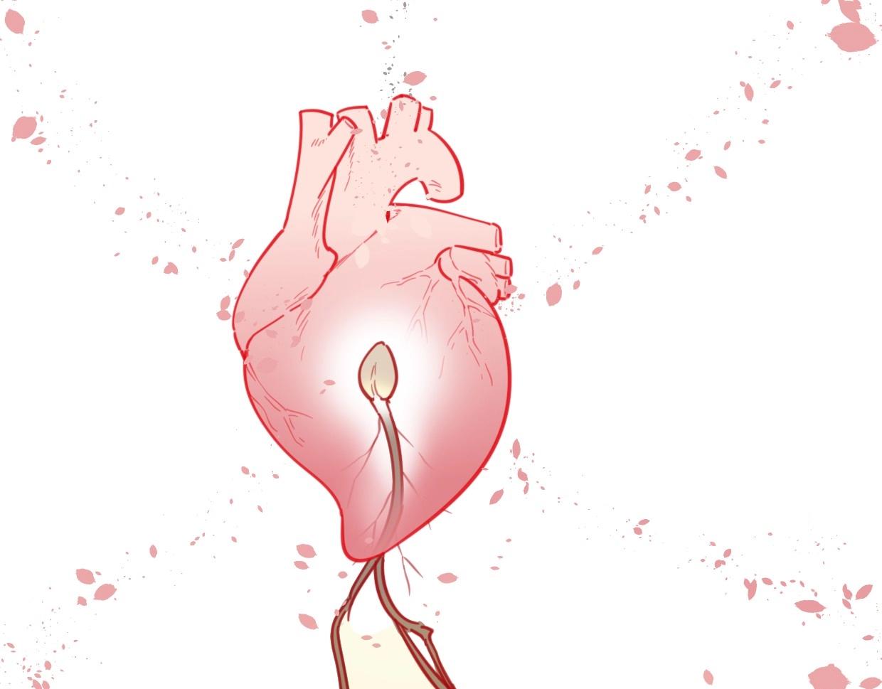 第77话 重要任务13