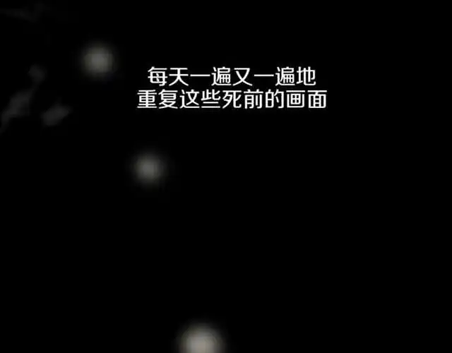 番外篇 小白回来了15
