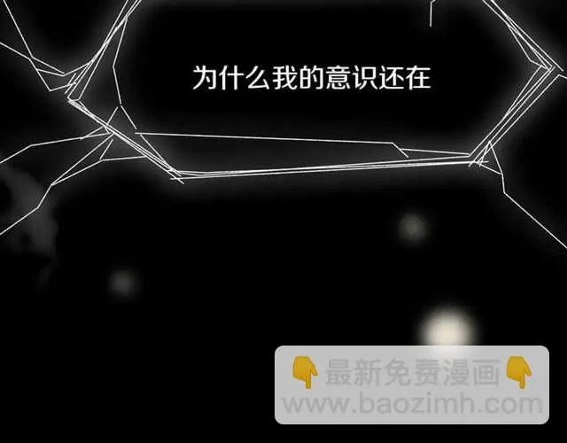 番外篇 小白回来了14