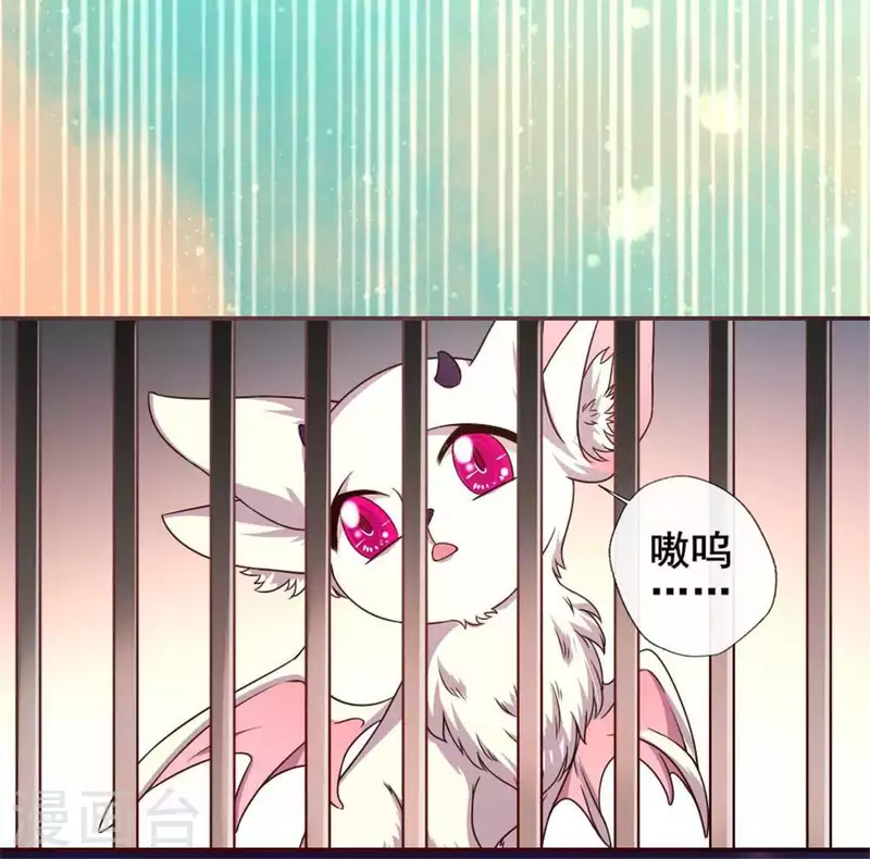 第38话 Get到一只萌宠9