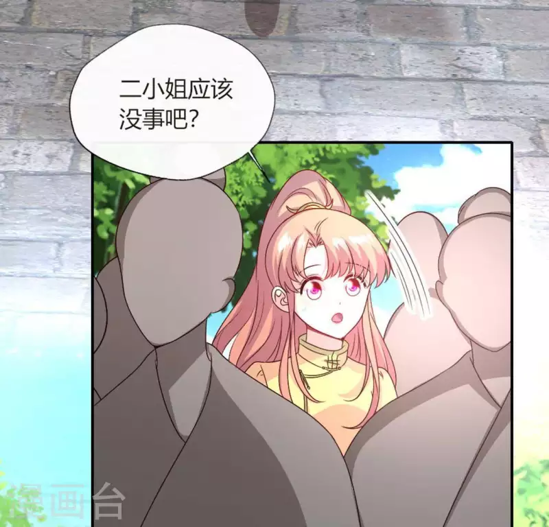 第102话 二小姐落水了40