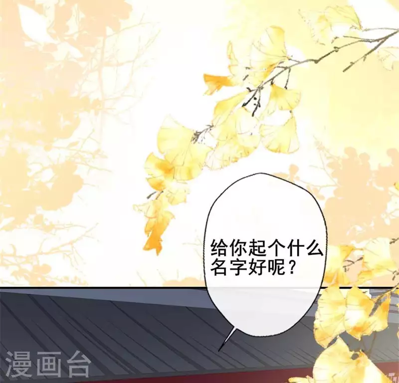 第38话 Get到一只萌宠19