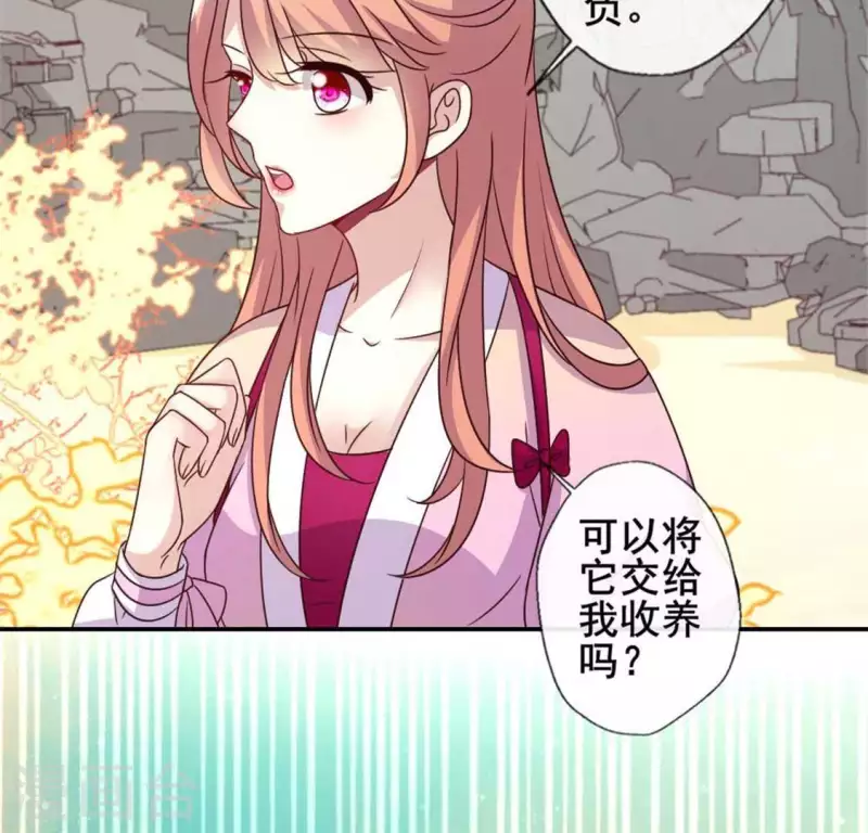 第38话 Get到一只萌宠8