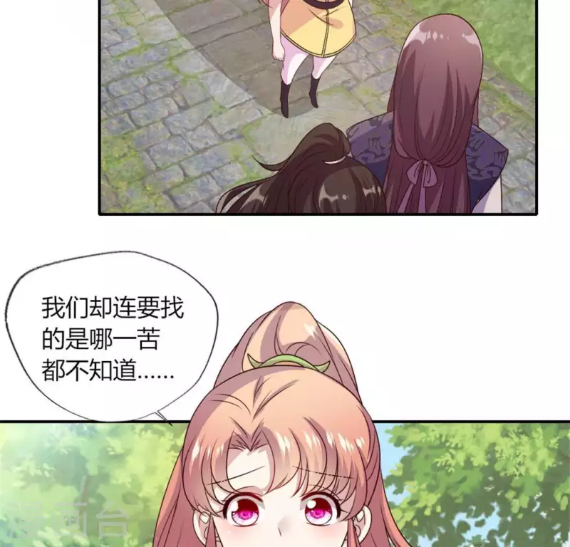第90话 分头行动16