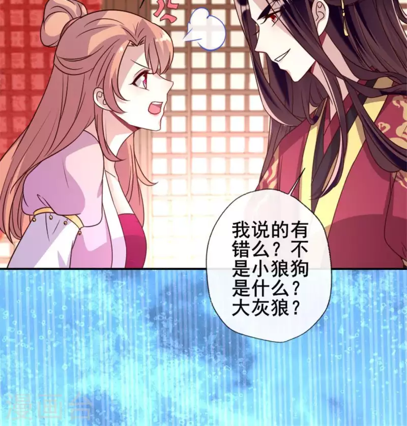 第48话 饲养小狼狗？清明时节28