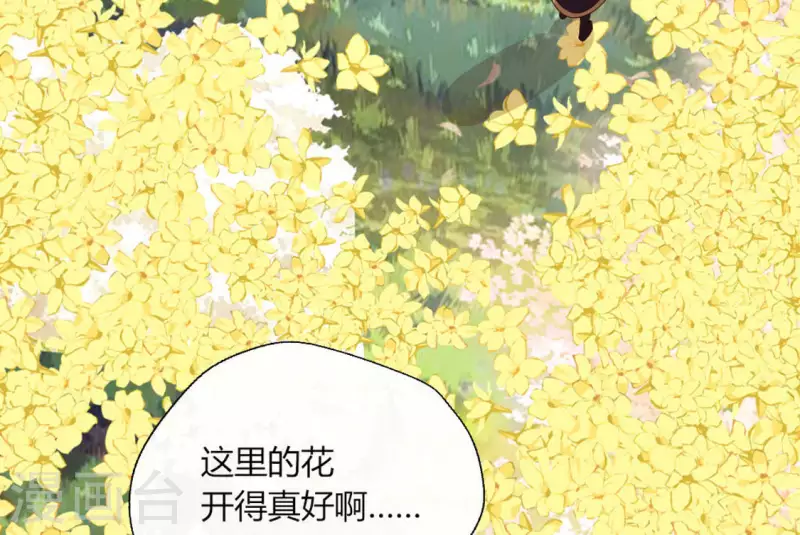 第97话 花田里不要惹火47