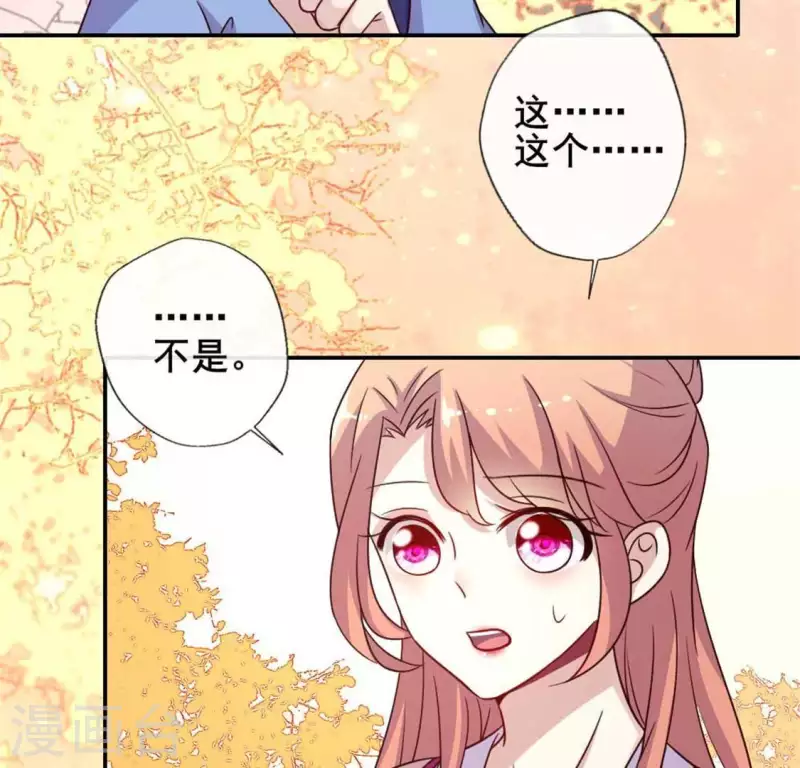 第38话 Get到一只萌宠4