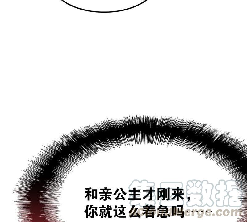 来自异域的公主44