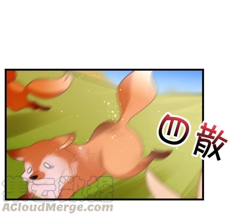 做一个合格的可敦需要几步52