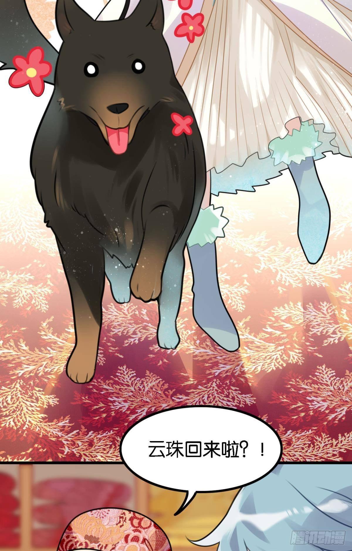 走错帐篷的熊先生7