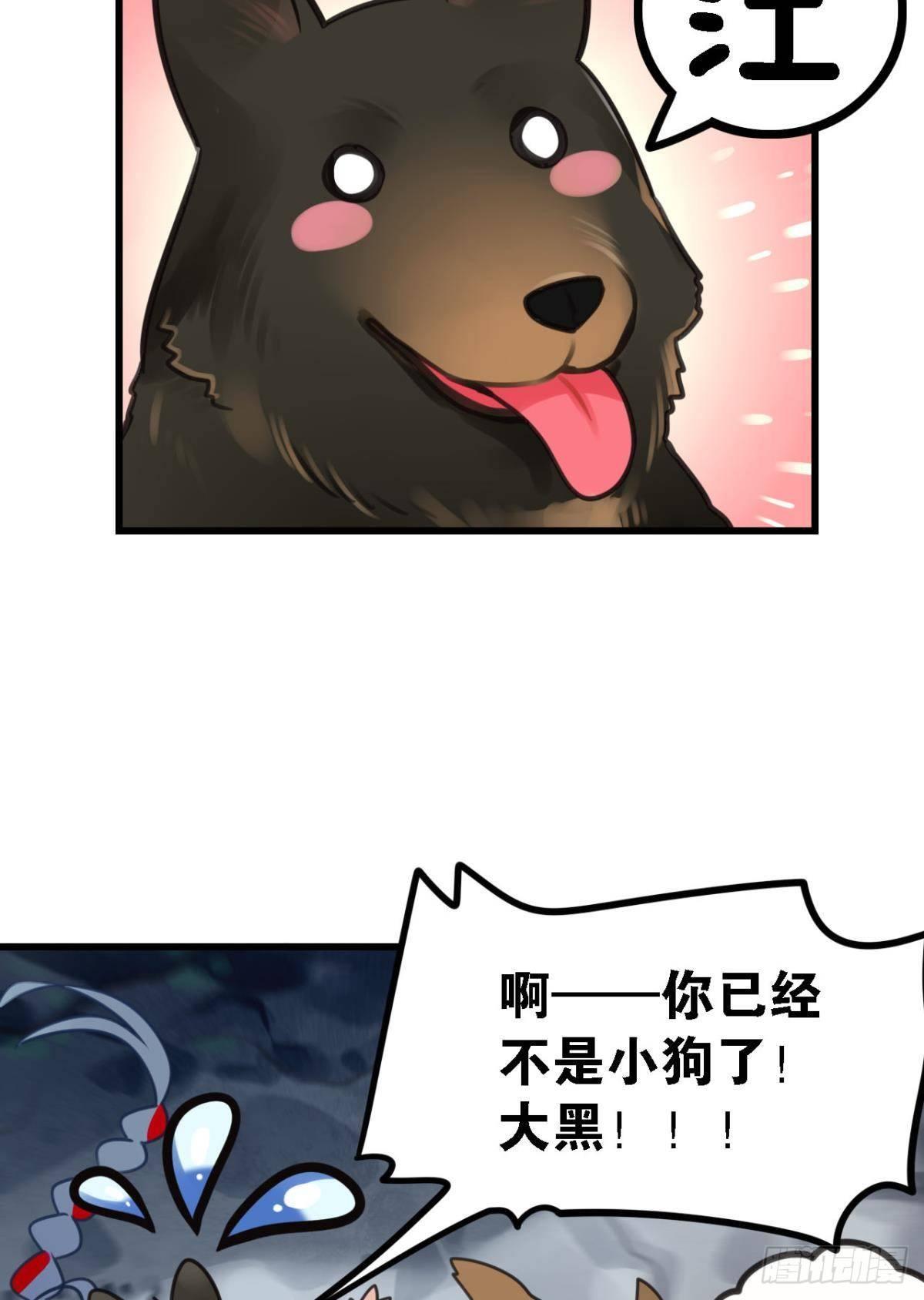 走错帐篷的熊先生4