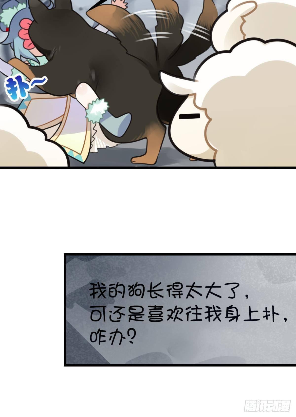 走错帐篷的熊先生5