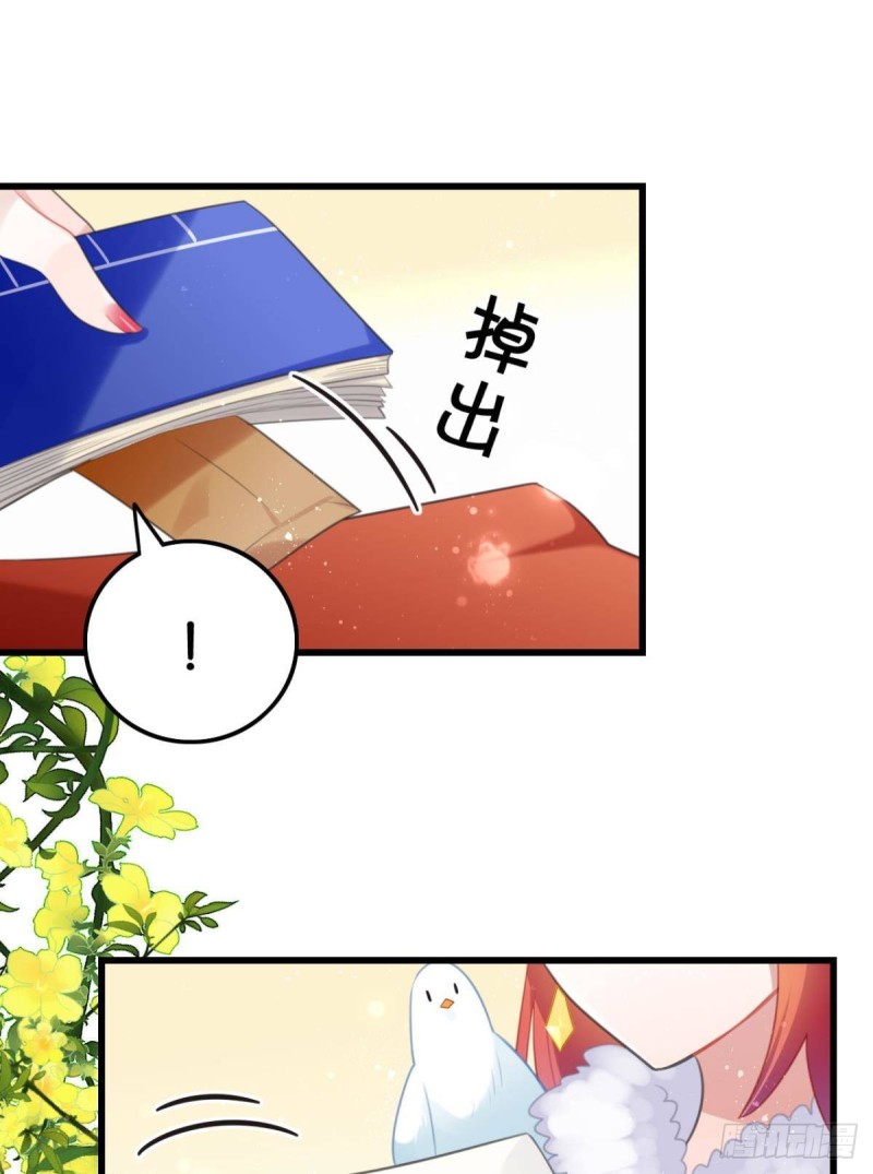 篝火晚会1