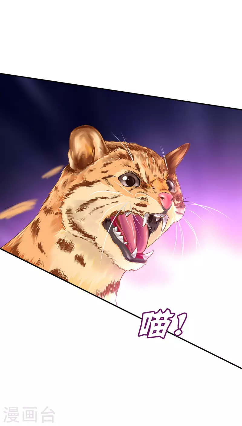 第235话 狸猫助战12