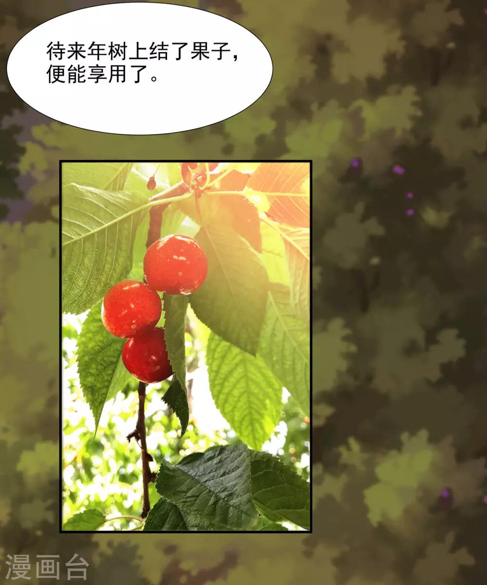 第74话 宠妻狂魔23