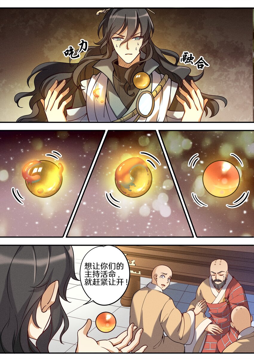 049 公鸡中的孔雀鸡12