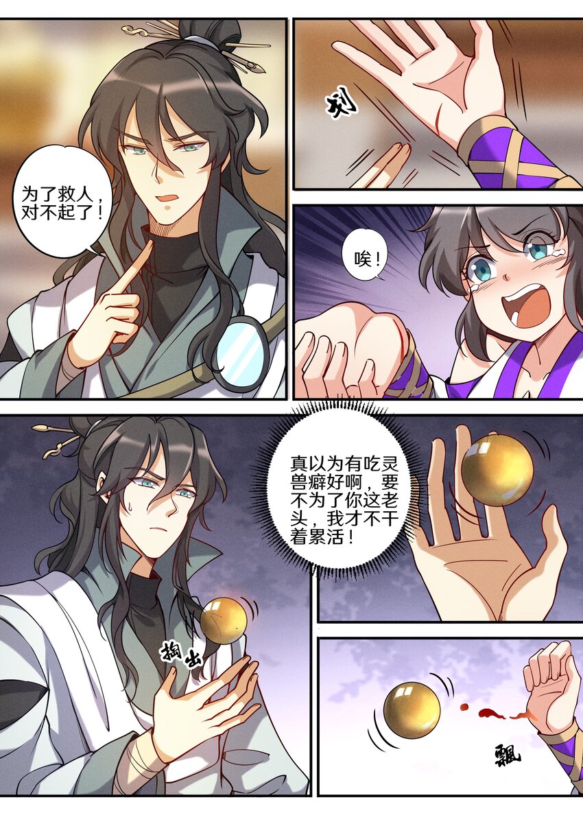 049 公鸡中的孔雀鸡11
