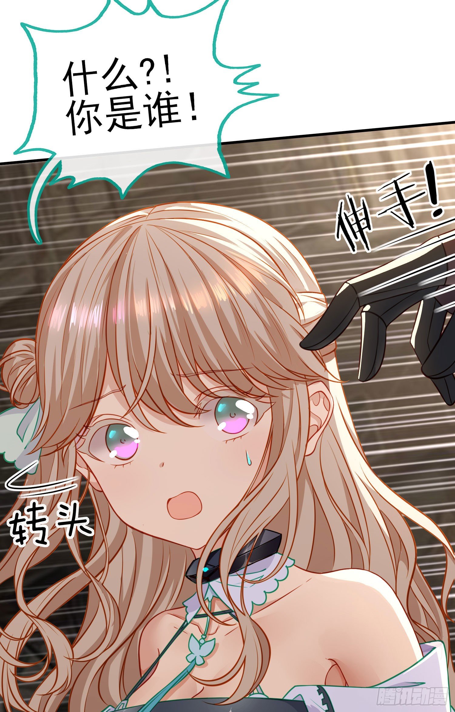 七星海棠5