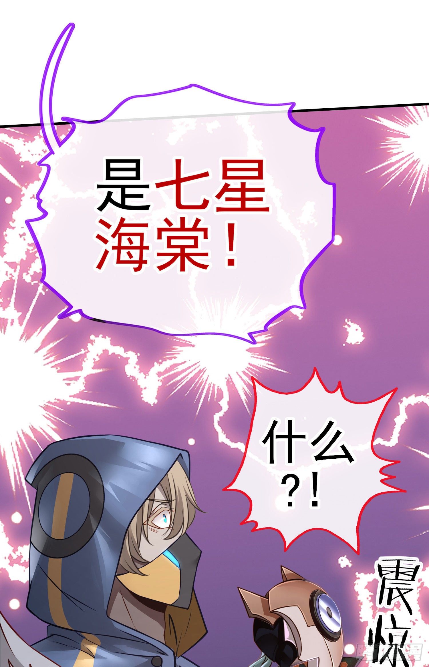 七星海棠29