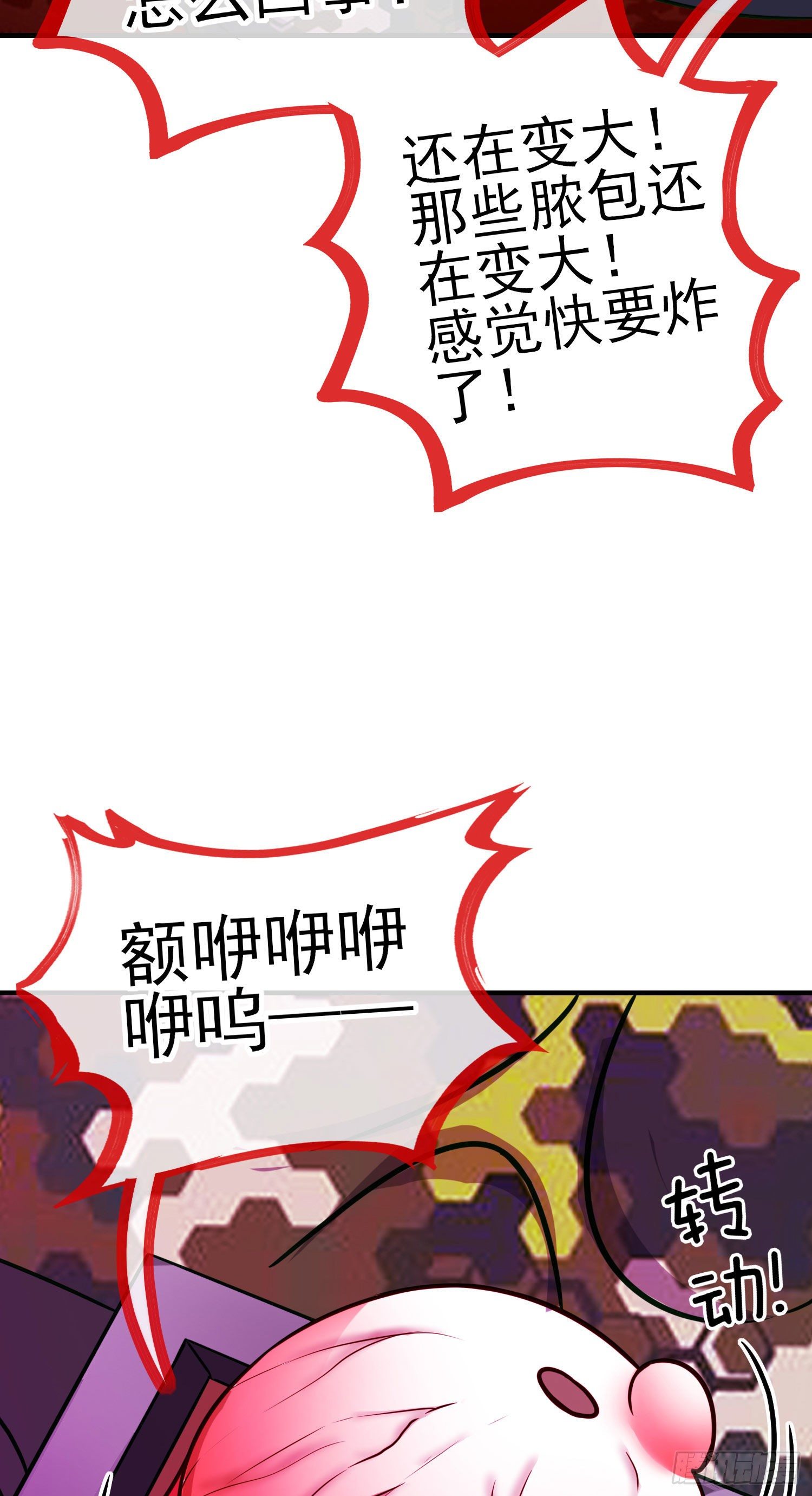 七星海棠50