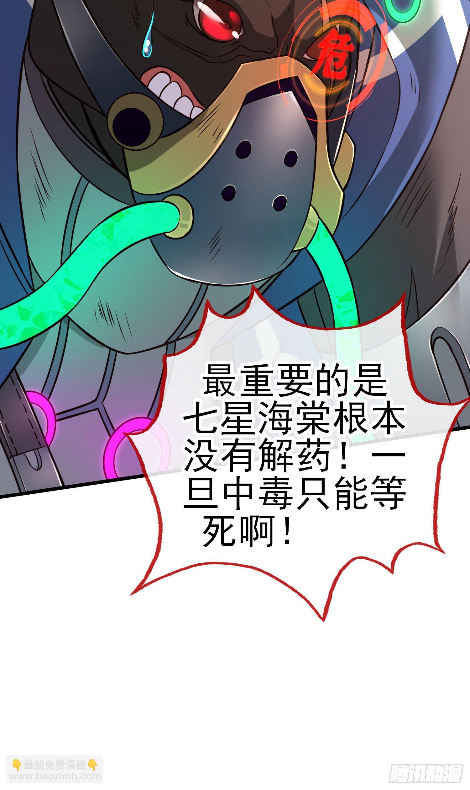 七星海棠35