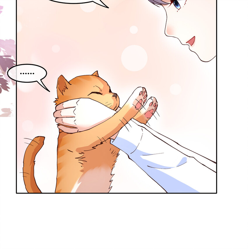 12 你看，有小猫在舔脚33