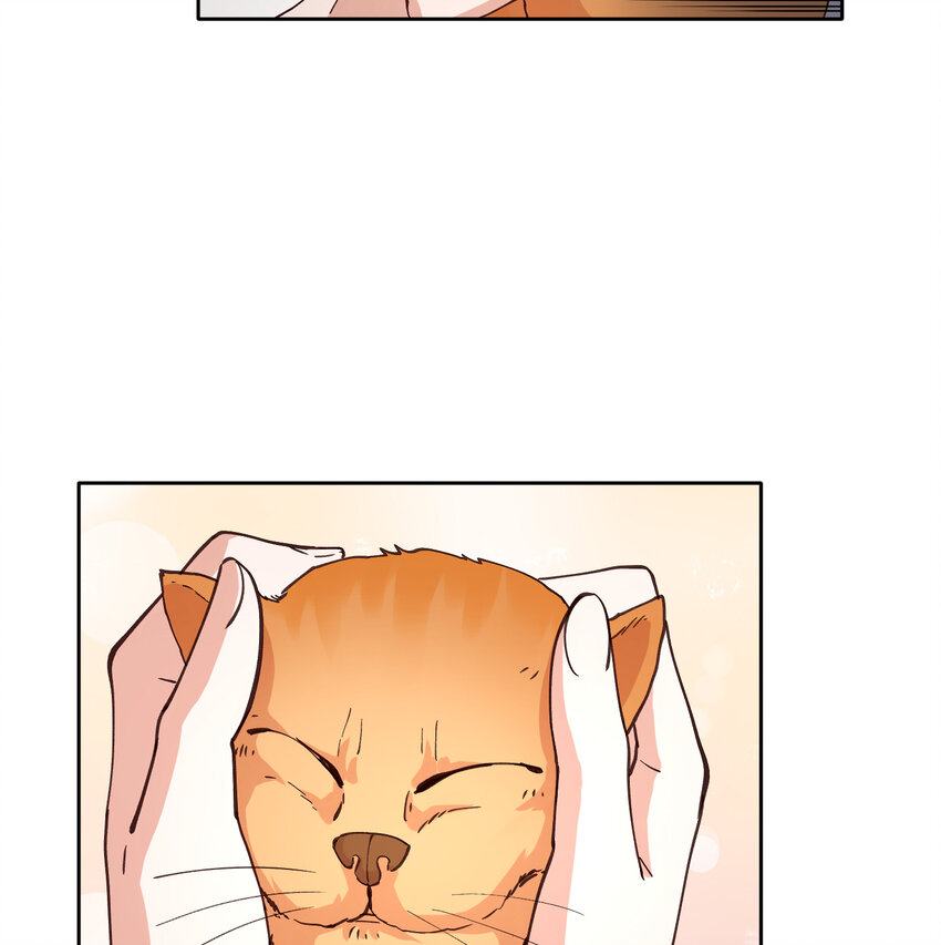 12 你看，有小猫在舔脚26