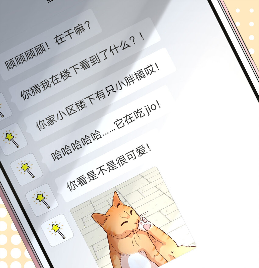 12 你看，有小猫在舔脚11