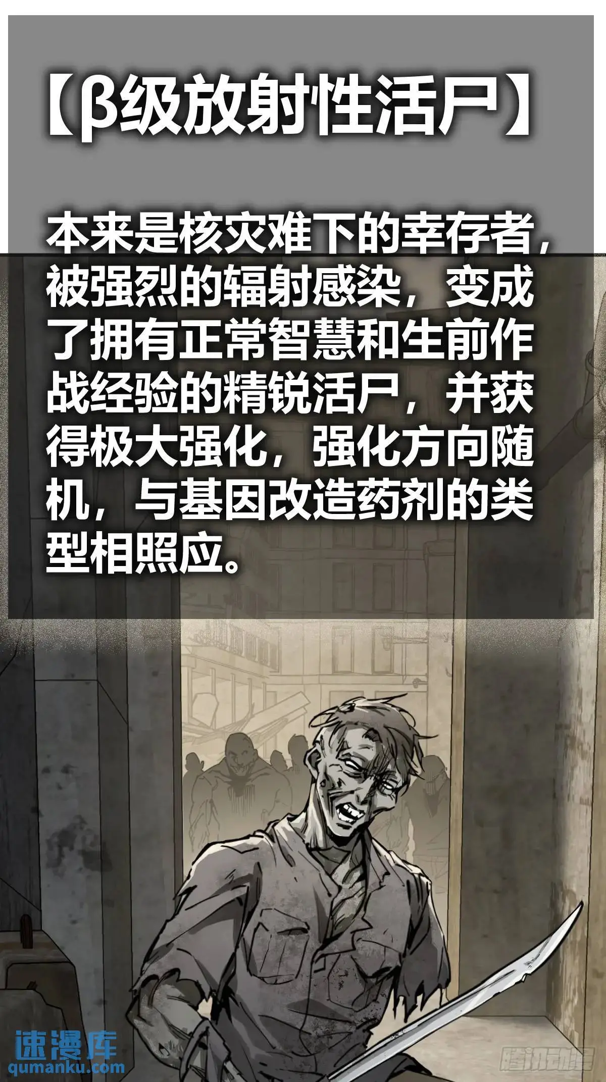 267 合作33