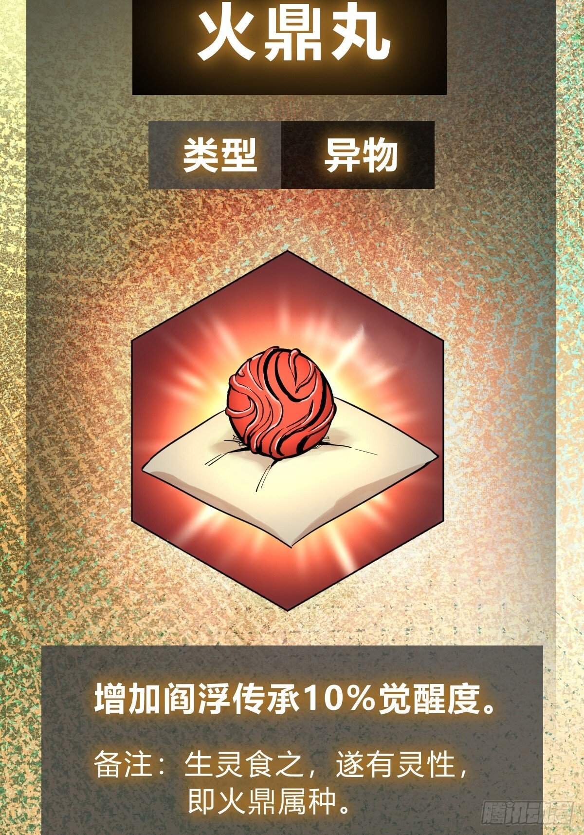 244 权限50