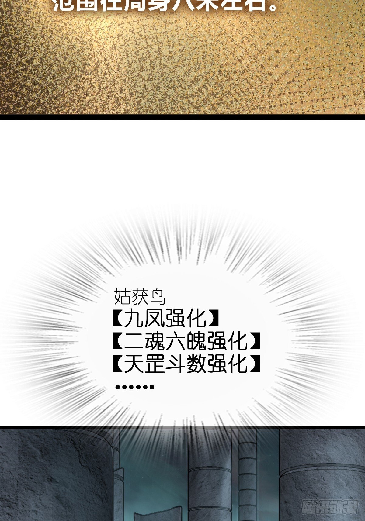 244 权限79