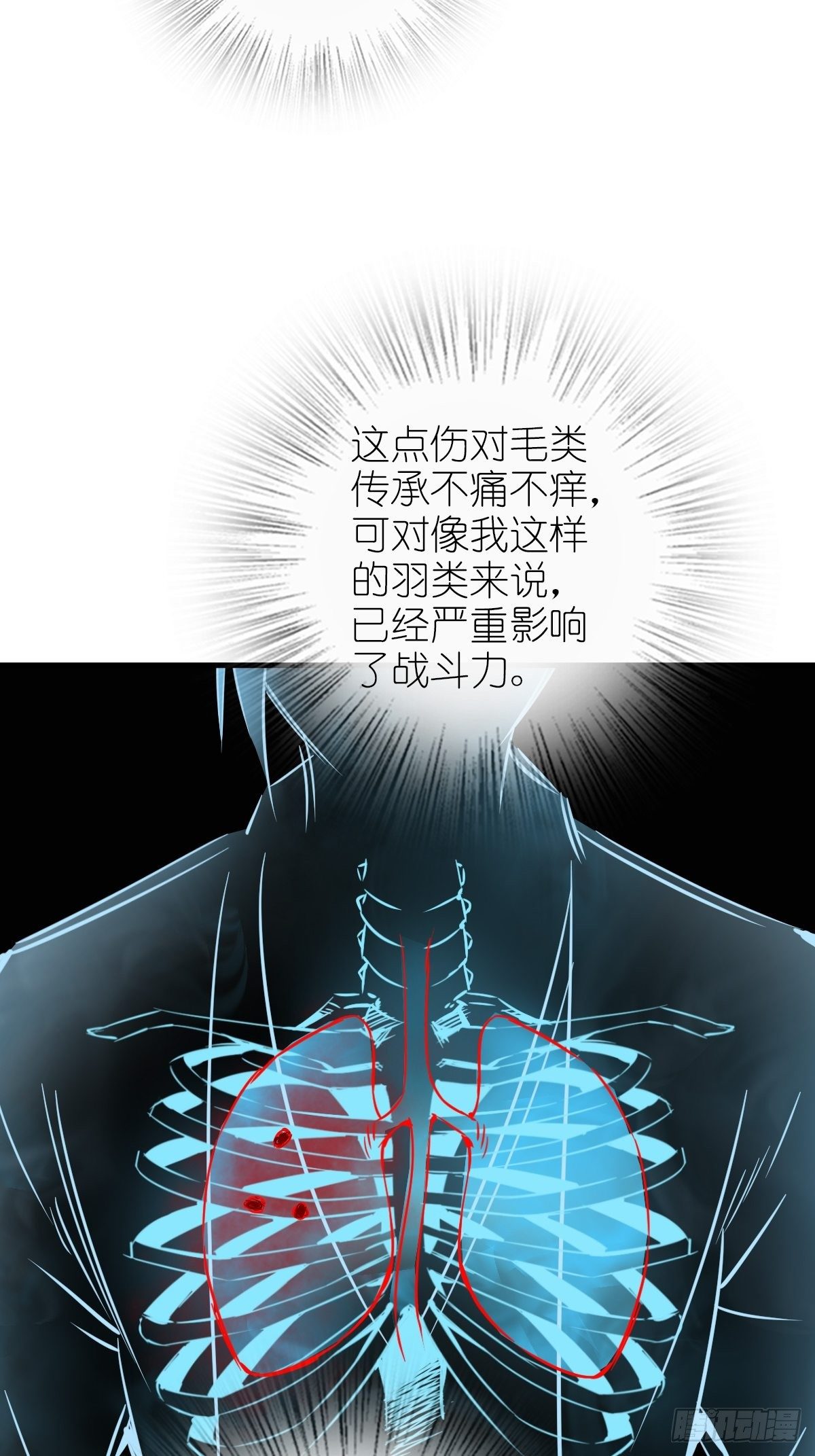 104 鹦鹉21