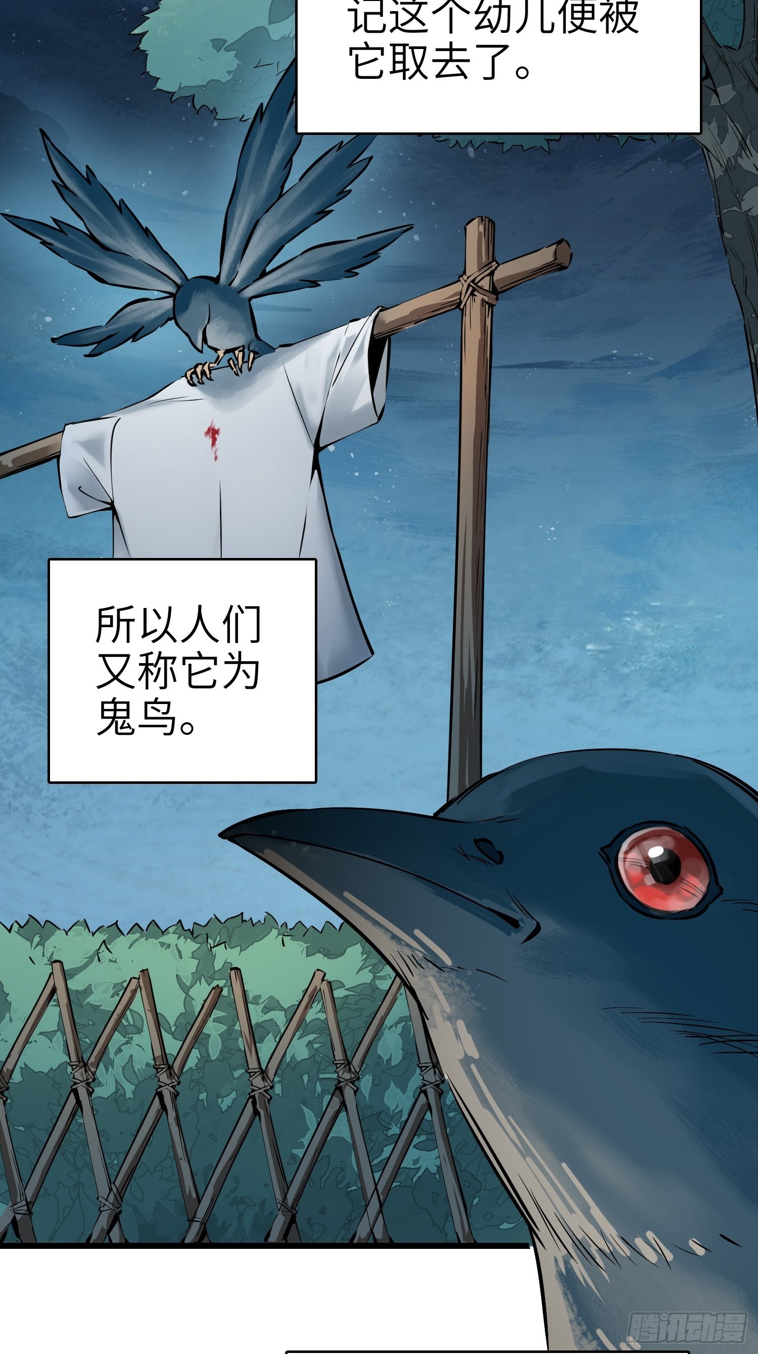 姑获鸟科普小剧场17