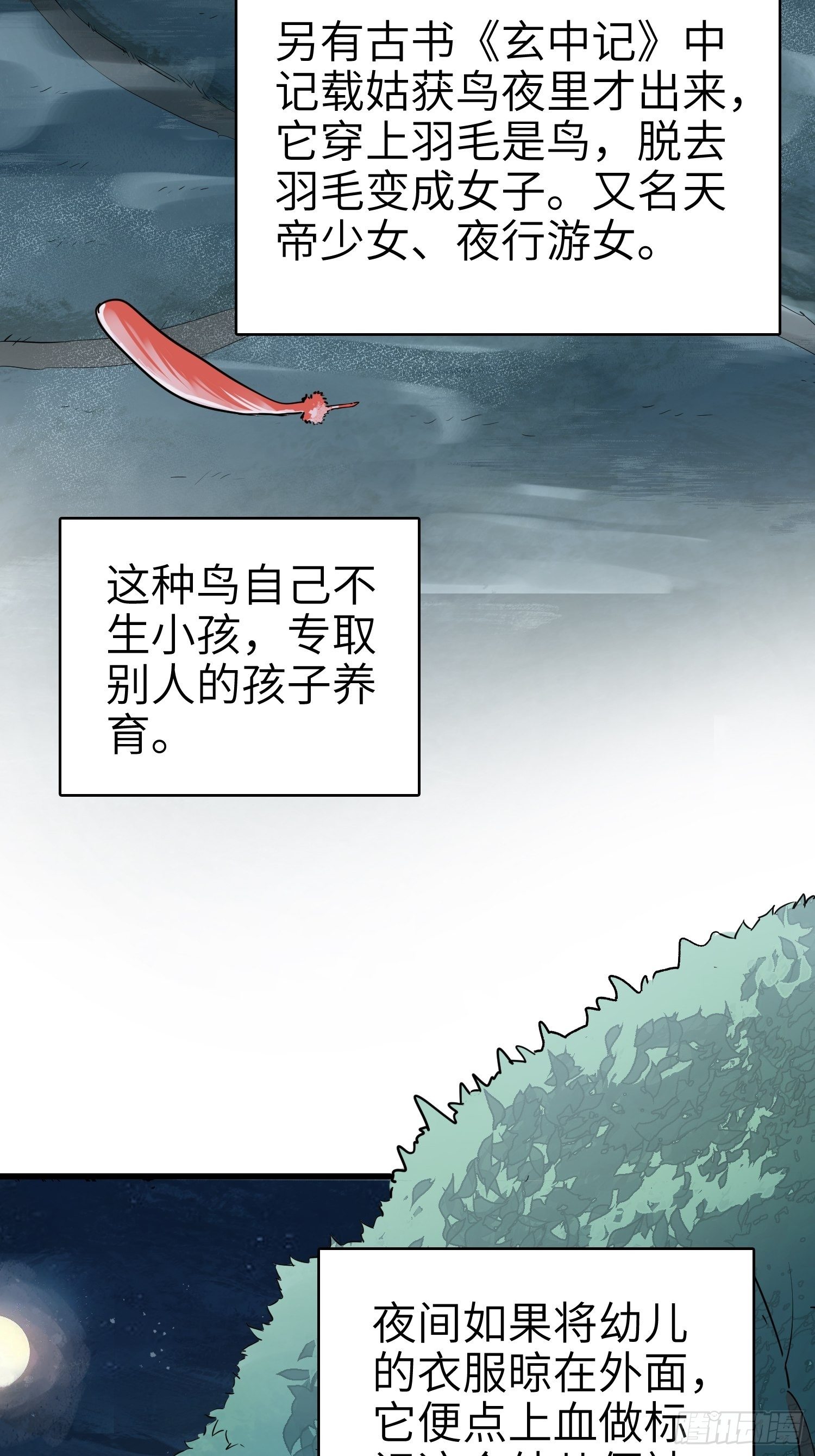 姑获鸟科普小剧场16
