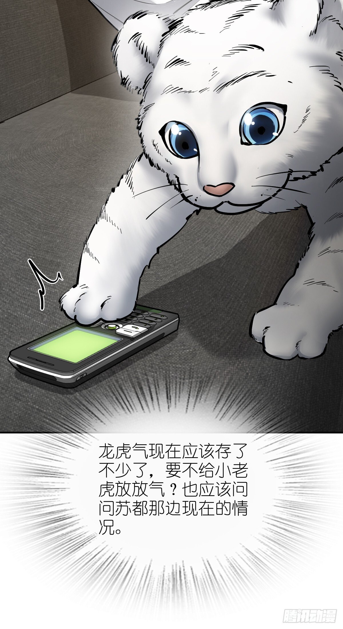 249 就绪53