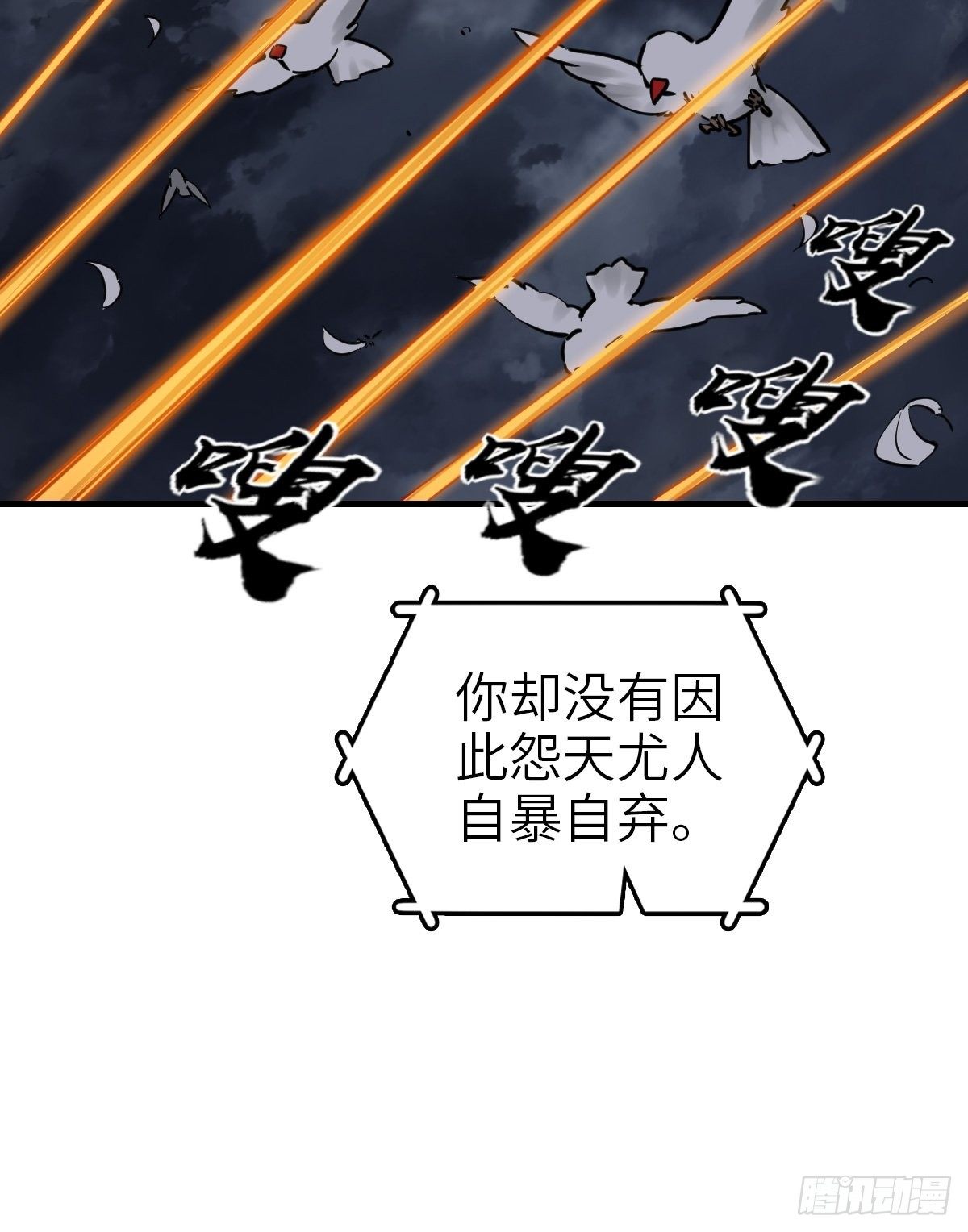 104 鹦鹉61