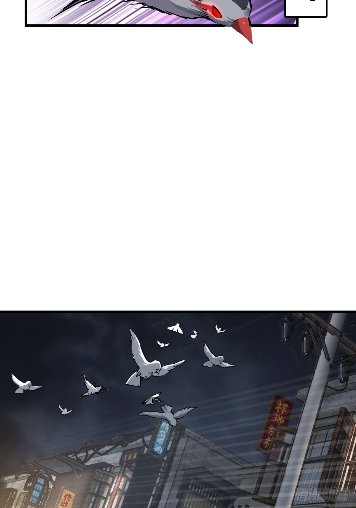 104 鹦鹉25