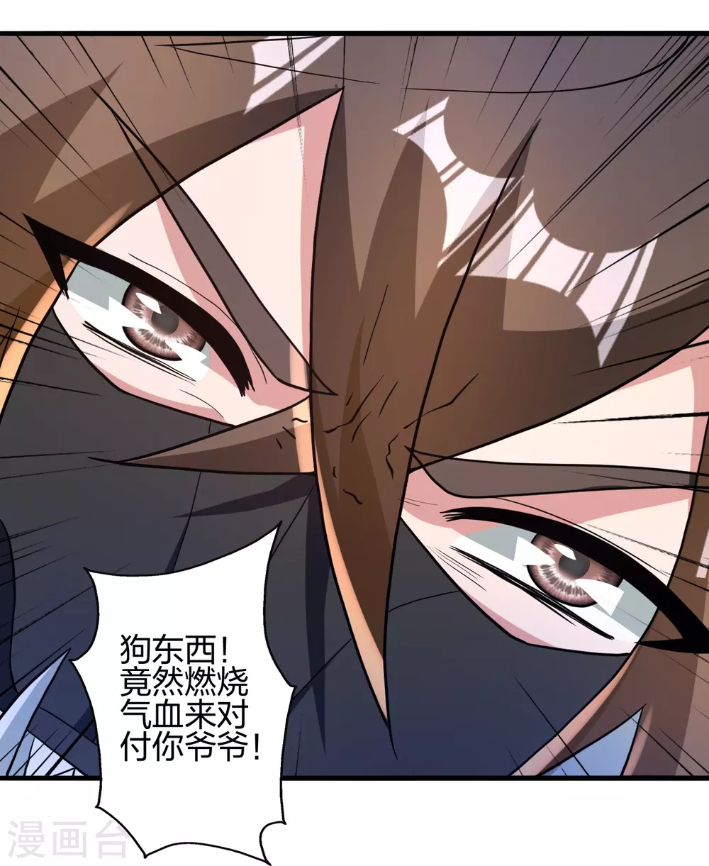 第376话 叶辰发威~83