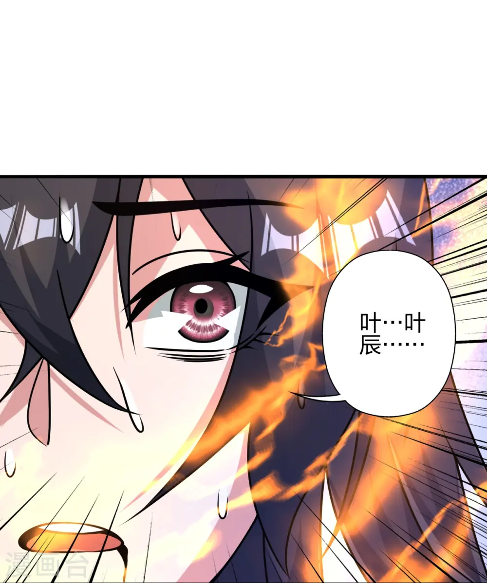 第455话 叶辰的秘密~25