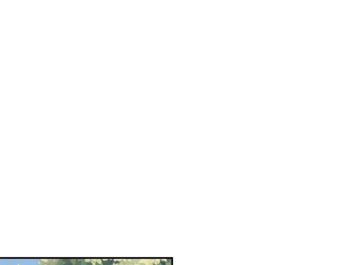 第116话14