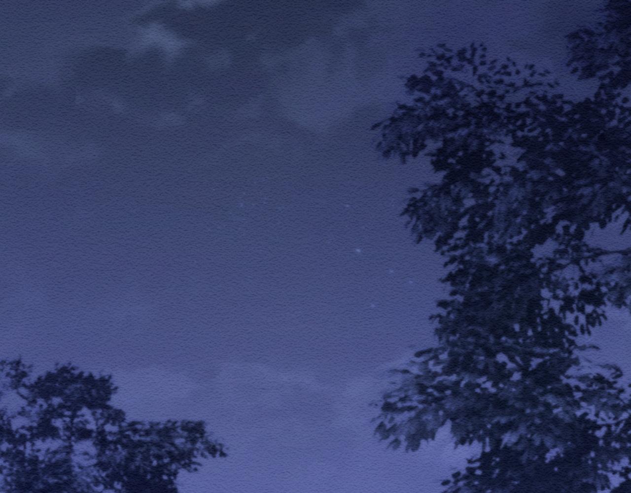 第29话 宠溺52
