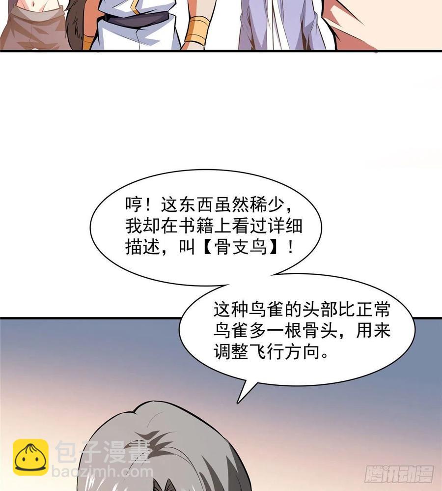 142 云电古雀29