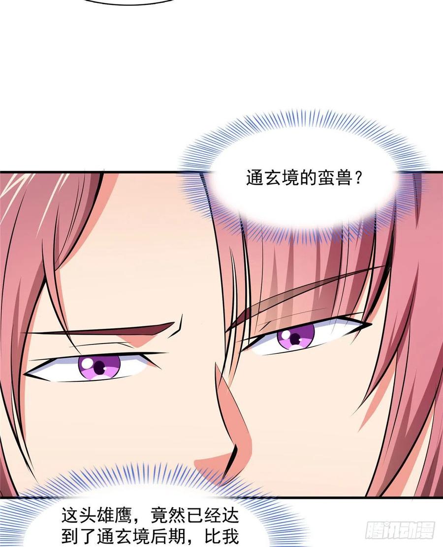 141 我驯了个鸟11