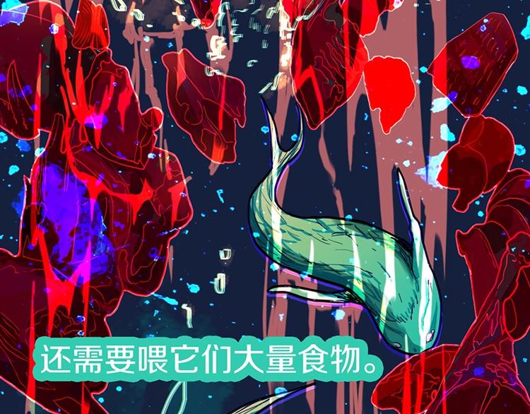 第36话 无证之秘15