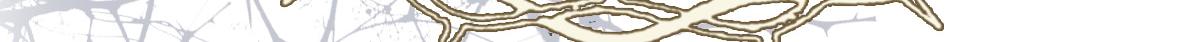 第150话 女巫的诅咒！74
