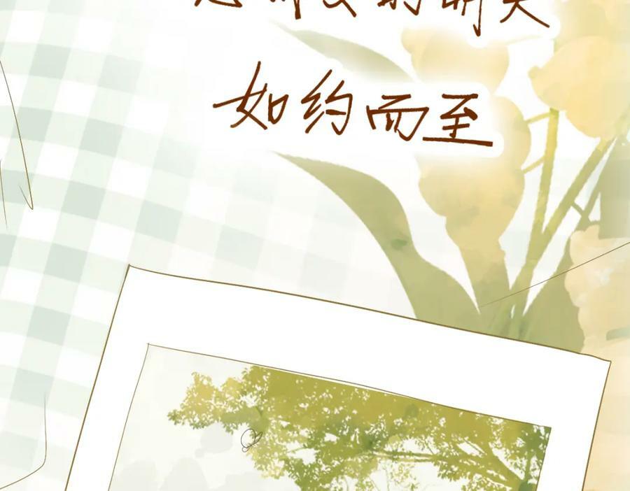 第204话 兄妹147