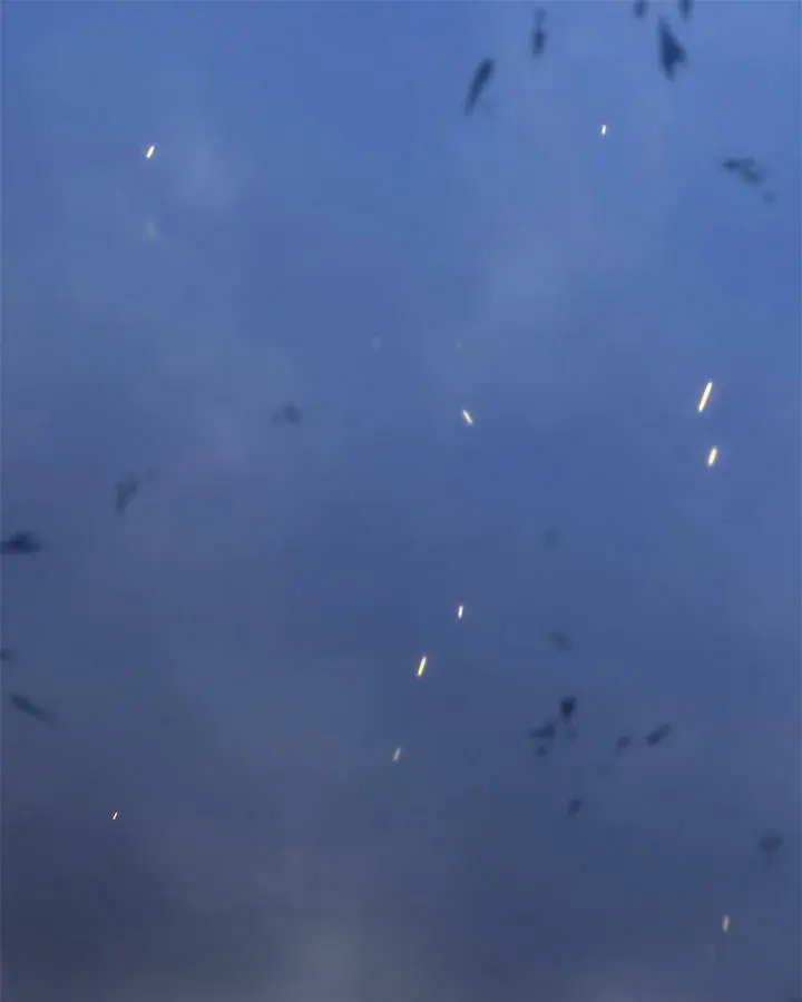 第151话147
