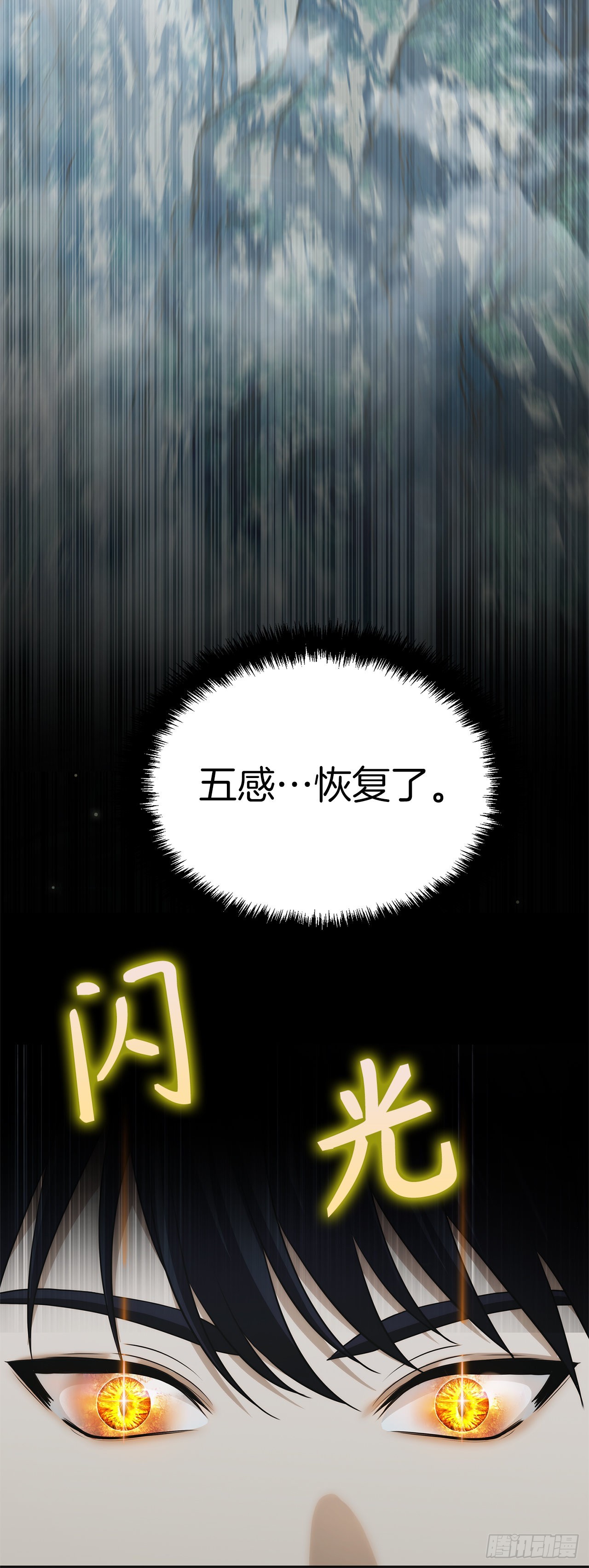 117.继承人的资格48