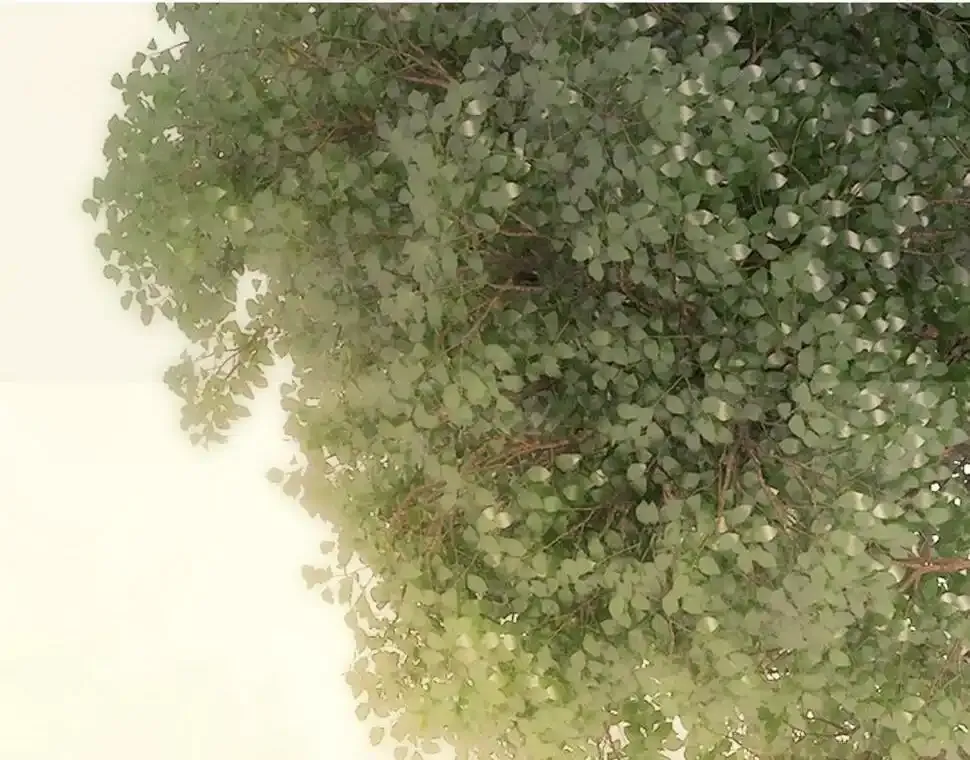 第93话 我不喜欢0