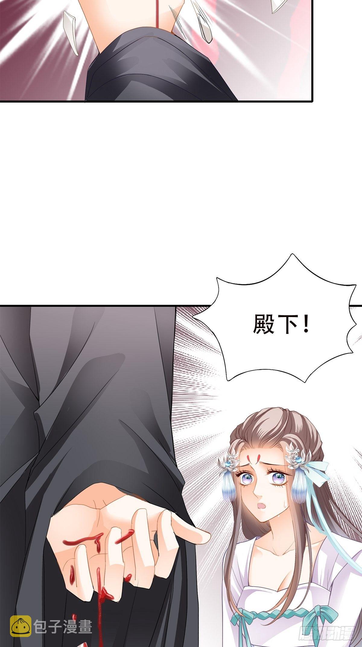 挂念太子妃27